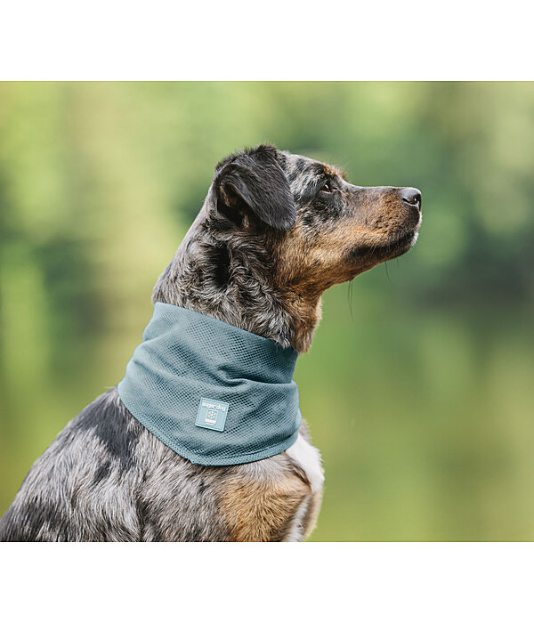 Hunde-Halstuch Cooling
