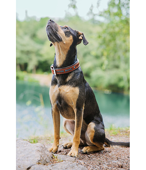 Leder-Hundehalsband Good Dog