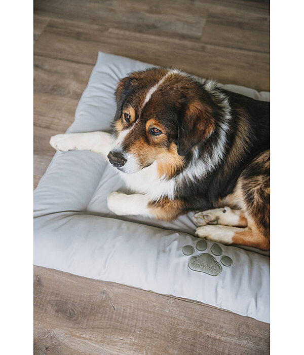 Kunstleder-Hundekissen Gioia