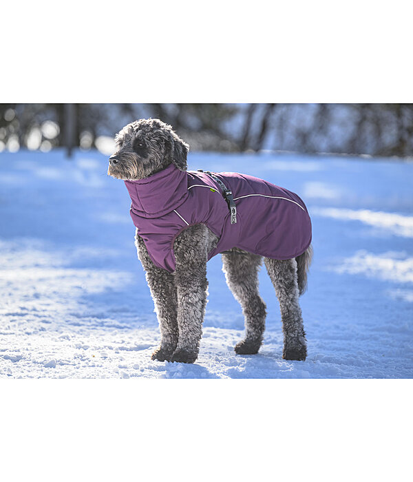 Winter-Hundemantel Marlon, 200-300 g