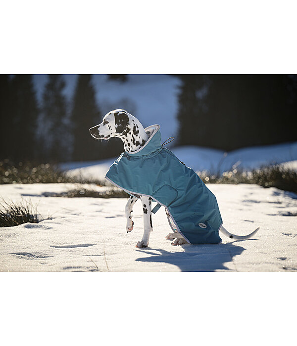 Hunde-Regenmantel Winter Islands, 160 g
