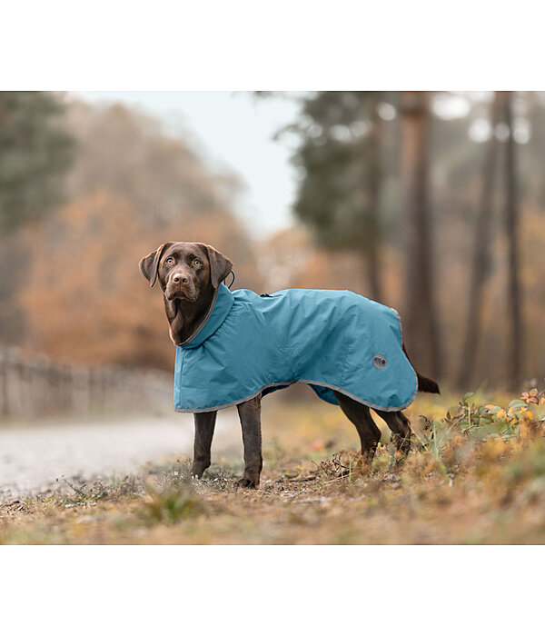 Hunde-Regenmantel Winter Islands, 160 g