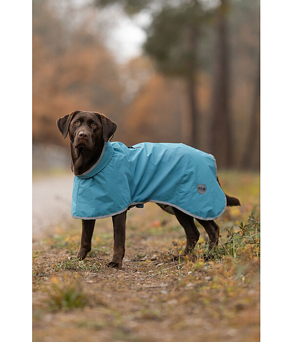Hunde-Regenmantel Winter Islands, 160 g