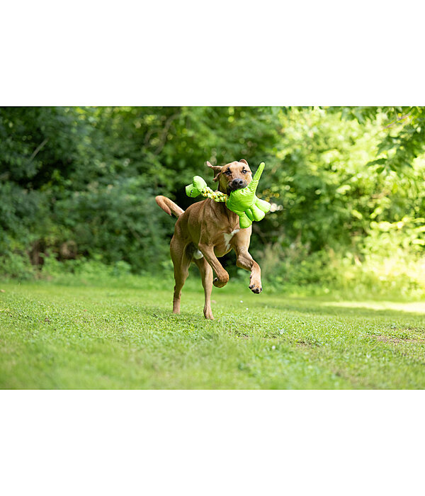 Hundespielzeug Strong Dino