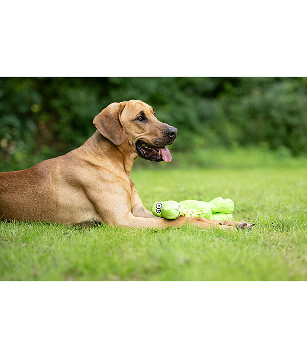 Hundespielzeug Strong Dino