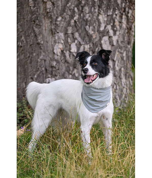 k�hlendes Halstuch Frostie