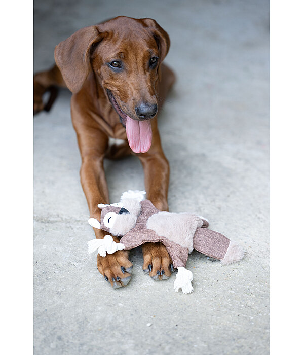 Hundespielzeug Eichh�rnchen