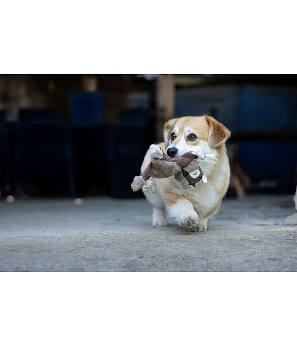 Hundespielzeug Eichh�rnchen