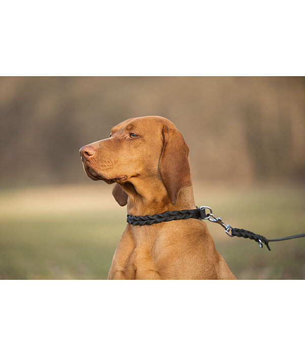 Leder-Halsband Adams