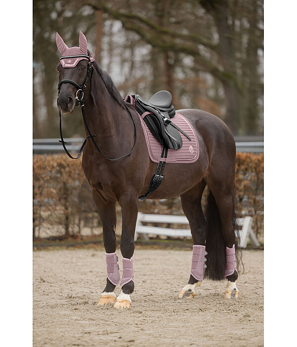 Mesh Gamaschen Glitter, Hinterbeine