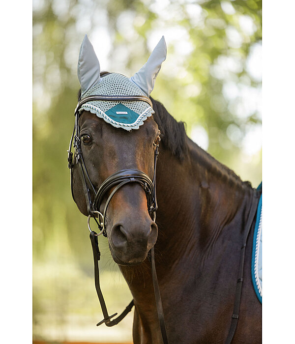 Fliegenhaube Swiss Design