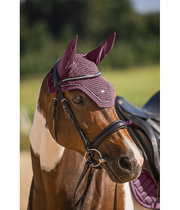 Fliegenhaube Brilliant