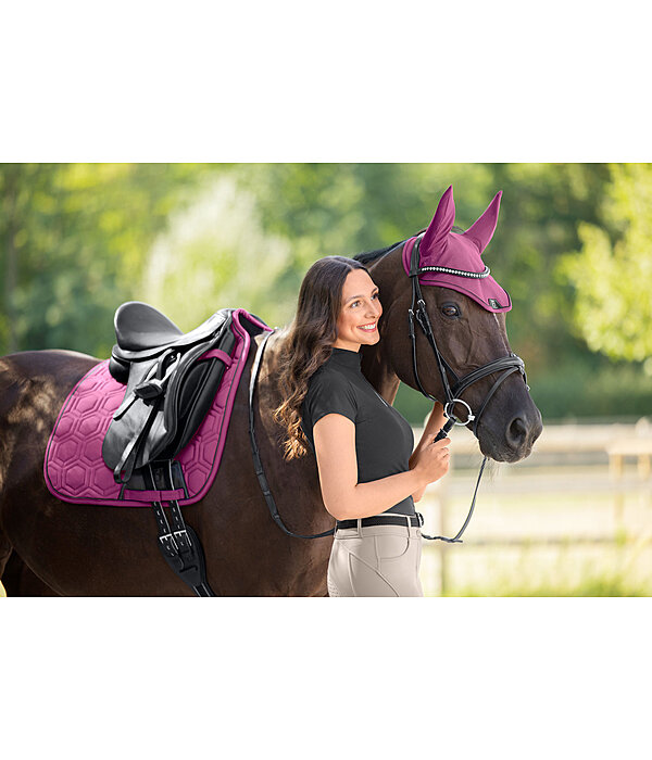 Fliegenhaube Mesh-Technology