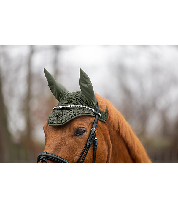 Teddy Fliegenhaube