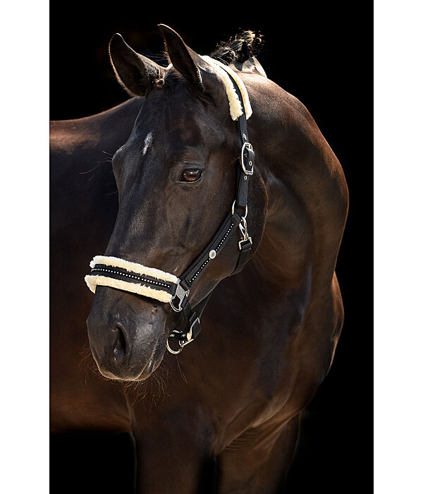 Halfter Luxury Diamonds