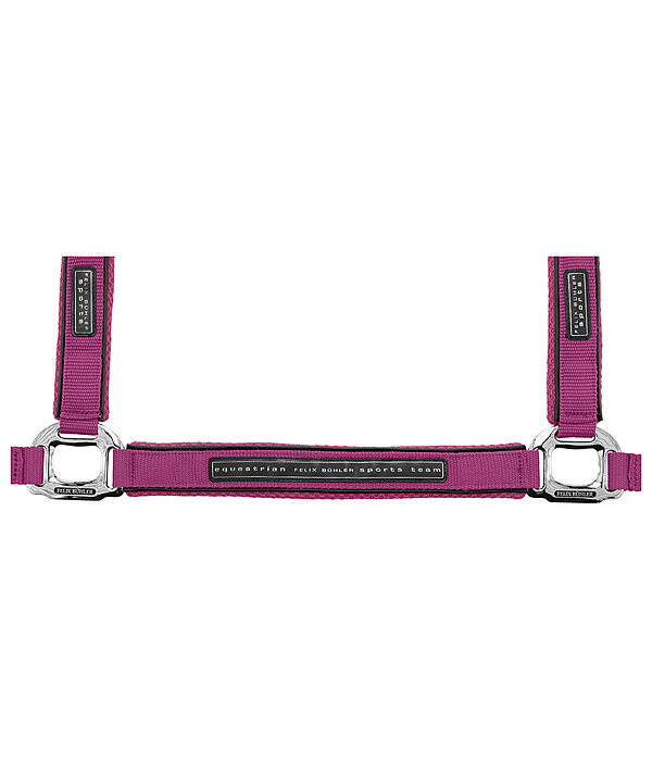 Halfter Mesh-Technology