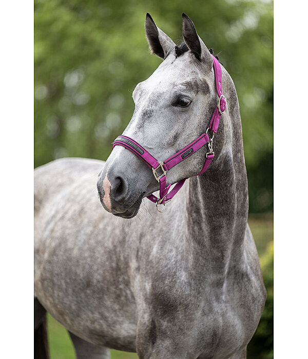 Halfter Mesh-Technology