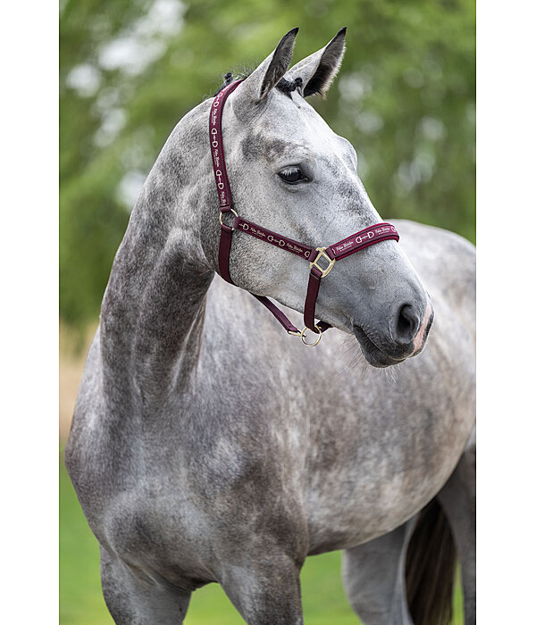 Halfter Signature III