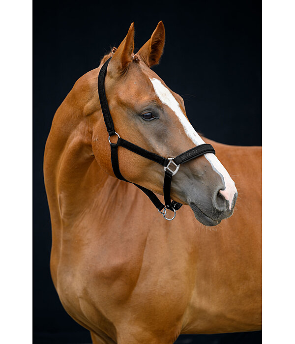 Halfter Signature III