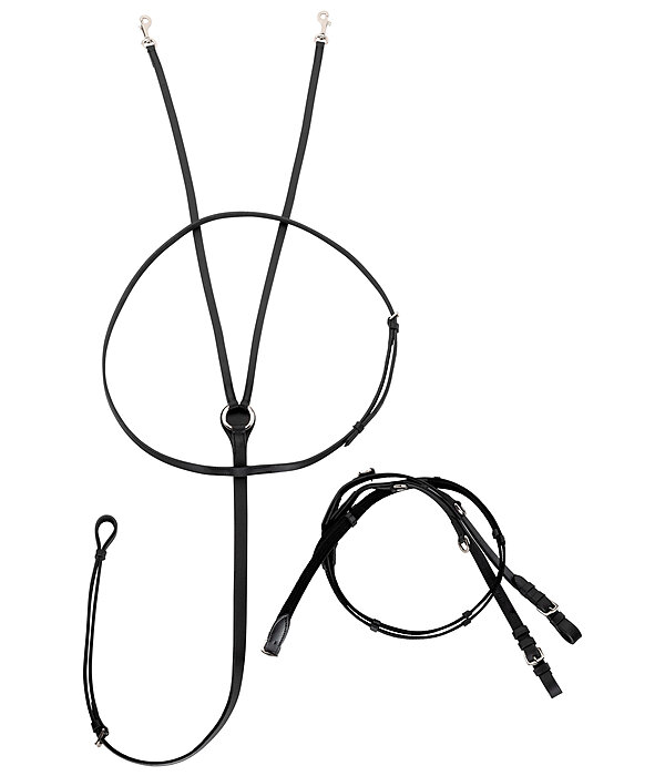 Thiedemann-/ Köhlerzügel-Springkombination