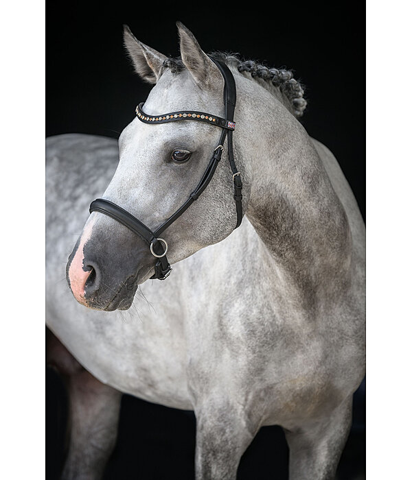 Mix & Match Geltes Leder-Reithalfter Gebisslos