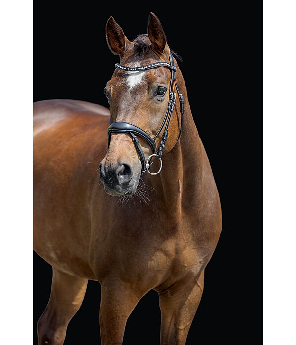 Zaum Alaska mit abnehmbarem Sperrriemen