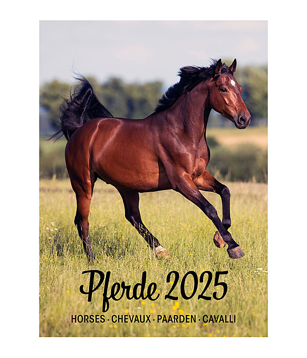 Pferdekalender 2024