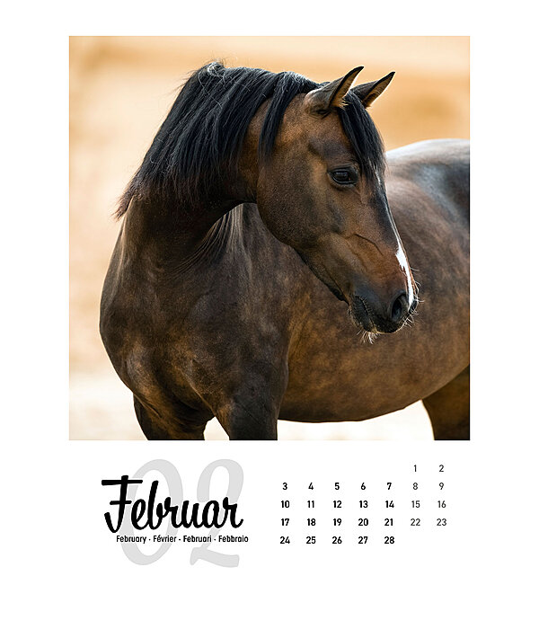 Pferdekalender 2024