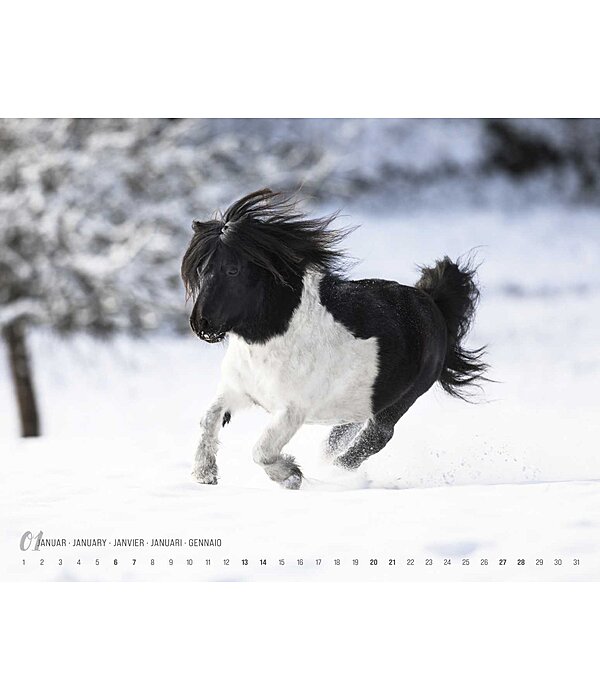Minis Kalender 2024