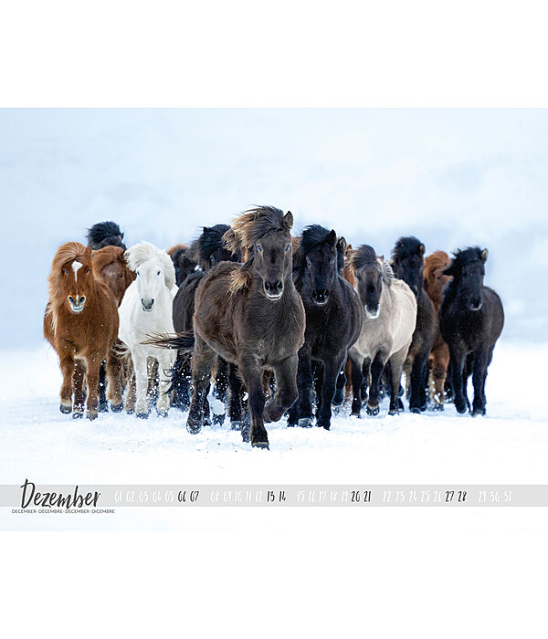 Islnder Kalender 2024