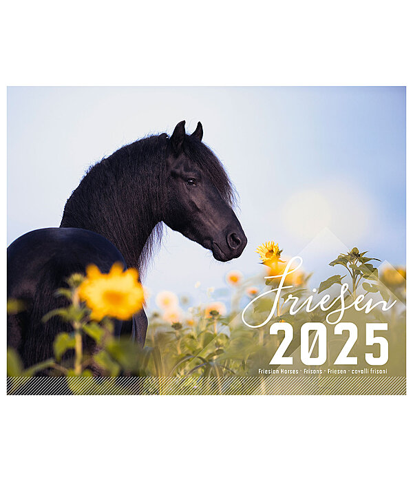Friesen Kalender 2024