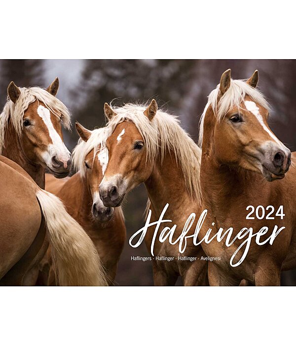 Haflinger Kalender 2024