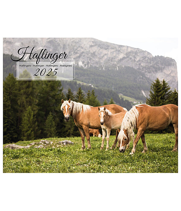 Haflinger Kalender 2024