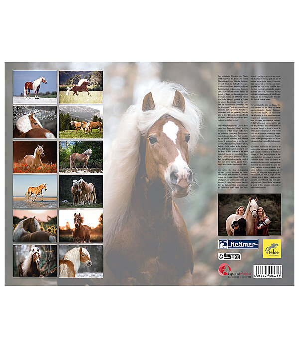 Haflinger Kalender 2024