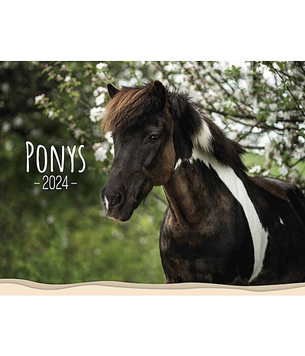 Pony Kalender 2023