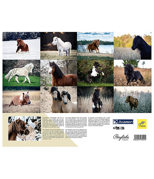 Pony Kalender 2024