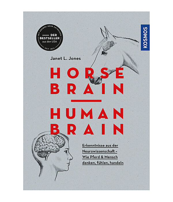 Horse Brain Human Brain