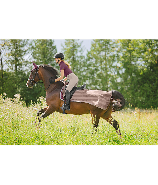 Fliegen-Ausreitdecke Economy Light