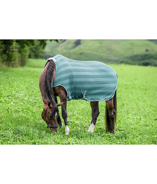 Fliegenschutz-Walker Economy Light