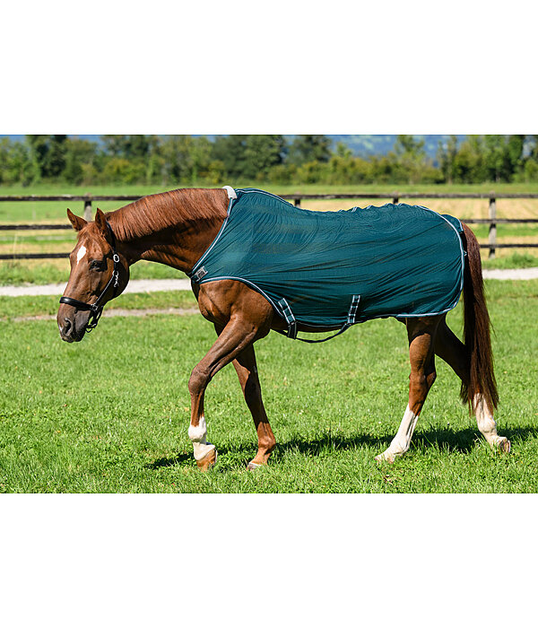 Fliegenschutz-Walker Economy Light