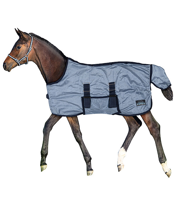 Fohlen und Minishetty Fliegendecke Kubi Fly