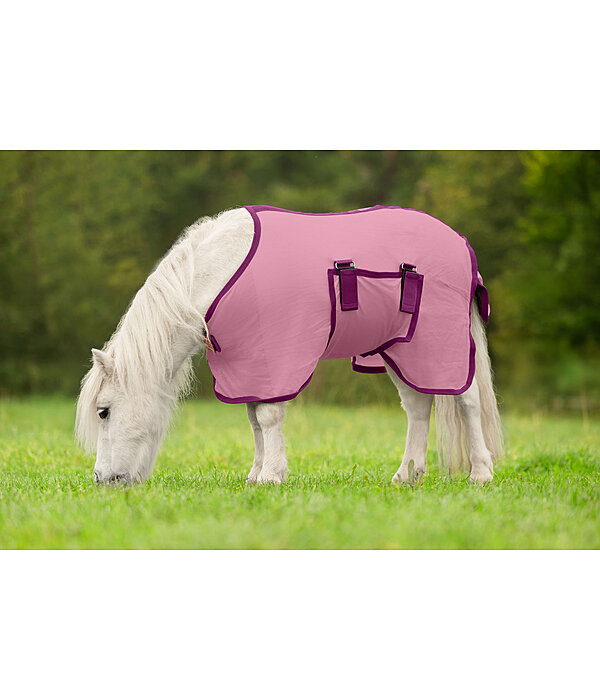 Fohlen und Minishetty Fliegendecke Kubi Fly