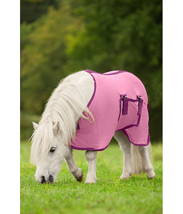 Fohlen und Minishetty Fliegendecke Kubi Fly