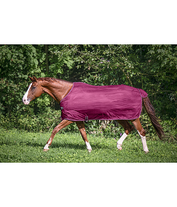 Fliegendecke Economy Light