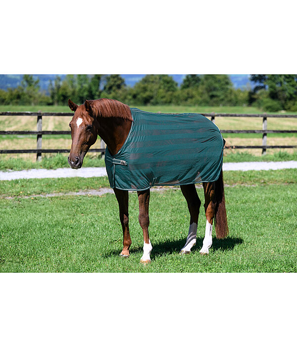 Fliegendecke Economy Light