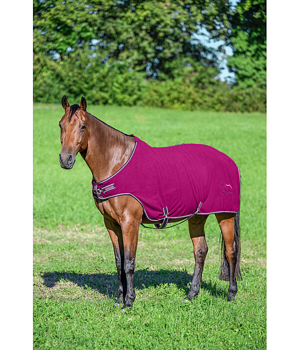 Fleece-Walker Activity