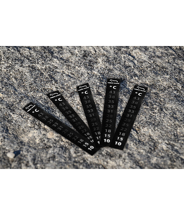 Deckenthermometer Sticker, 5 St�ck