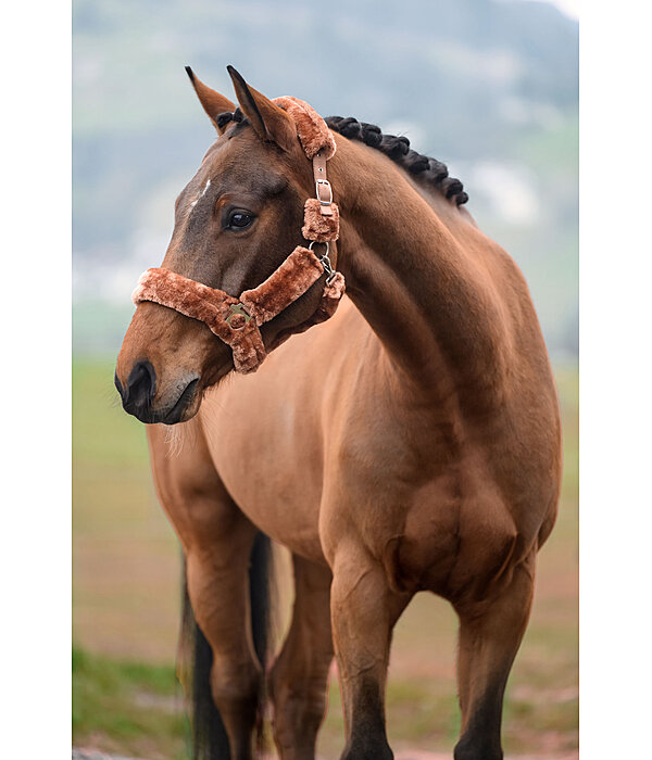Teddyfleece-Halfter Protection