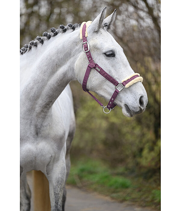 Halfter Sparkling II