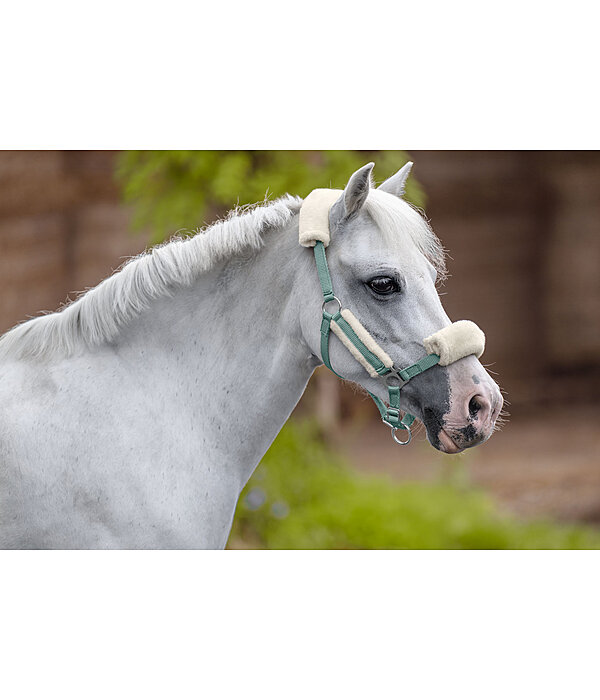 Fohlen- & Shetty-Teddyfleece-Halfter Cozy Adjustable